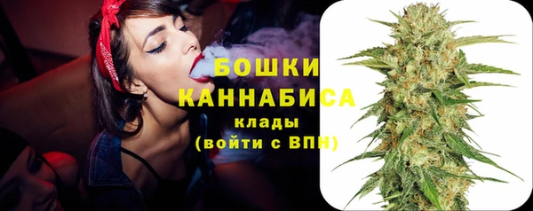 прущие грибы Сосновый Бор