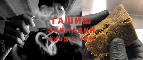 прущие грибы Сосновый Бор