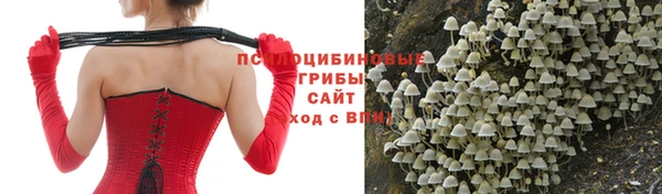 метамфетамин Сосновка