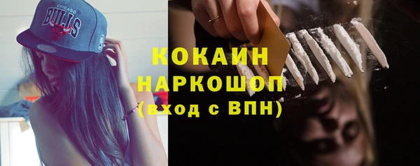прущие грибы Сосновый Бор