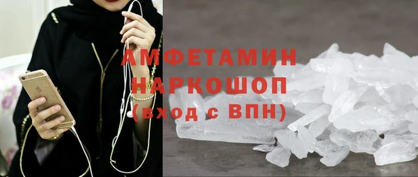 прущие грибы Сосновый Бор