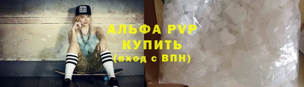 СК Сосновоборск