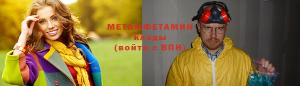 прущие грибы Сосновый Бор