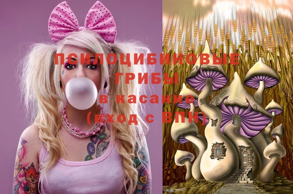 прущие грибы Сосновый Бор