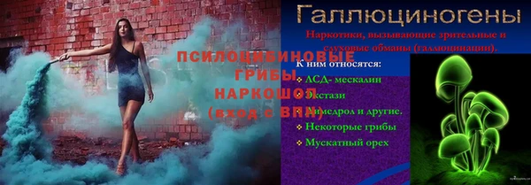прущие грибы Сосновый Бор