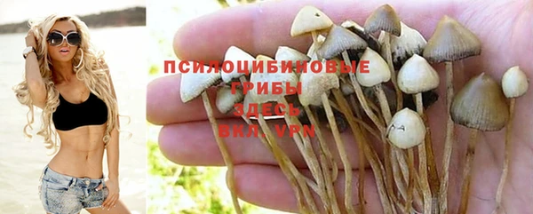 COCAINE Строитель
