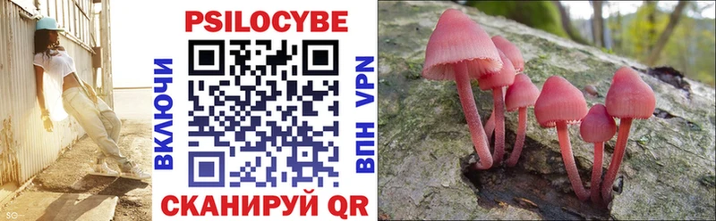 hydra зеркало  Балашов  Псилоцибиновые грибы GOLDEN TEACHER 